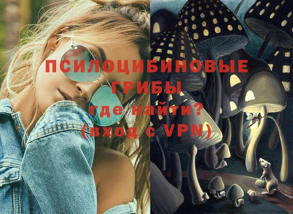 твердый Арсеньев