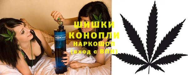 твердый Арсеньев