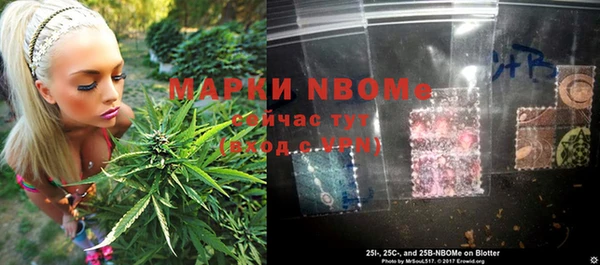 твердый Арсеньев