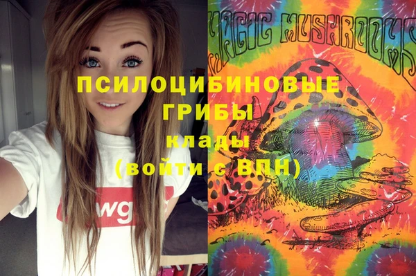твердый Арсеньев