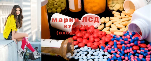 твердый Арсеньев